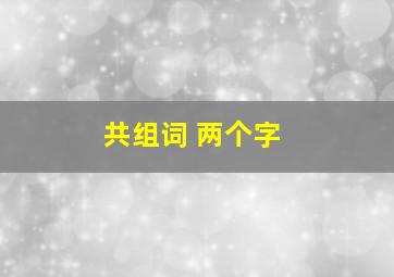 共组词 两个字